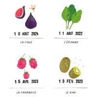 Mes premiers fruits et légumes diversification alimentaire affiche